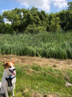 LADxC%rGSY+gK%%cnDLrPg