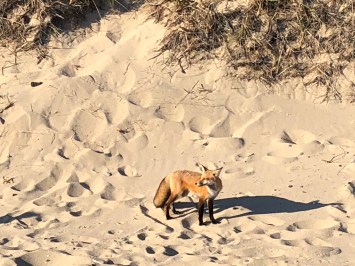 iCn4lBMlRu2JyWZBRcnPtA